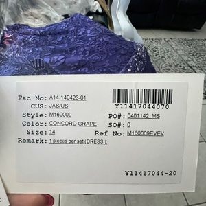 Concord grape dress brand new